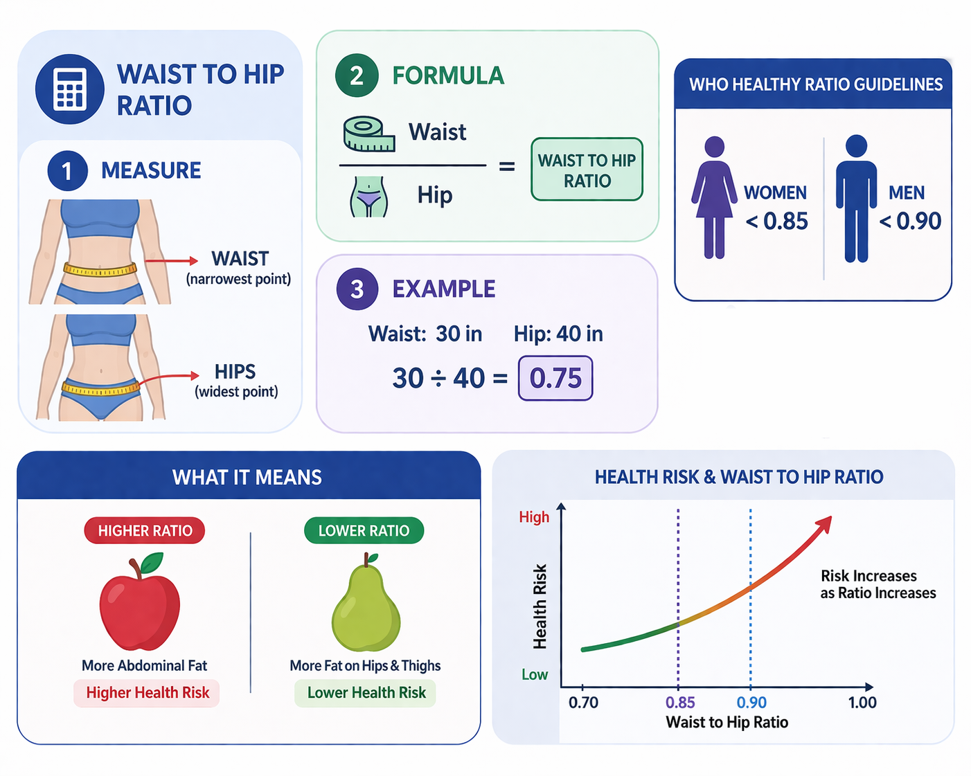 What is a waist to hip ratio calculator?